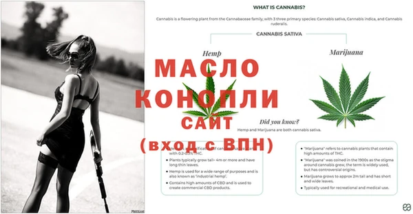 сатива Арсеньев