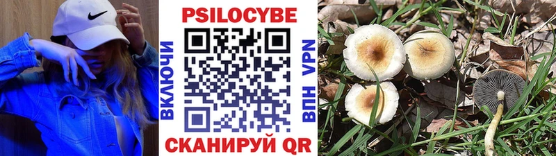 Галлюциногенные грибы MAGIC MUSHROOMS  Янаул 